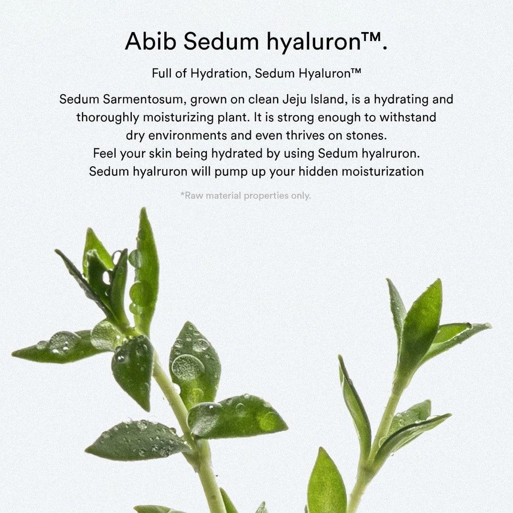 [Abib] Sedum Hyaluron Pad Hydrating Touch 165ml 75EA - Ballagrio